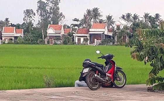 Nhóm đối tượng cướp vàng, tiền táo tợn ở Phú Yên đã bị bắt ảnh 1