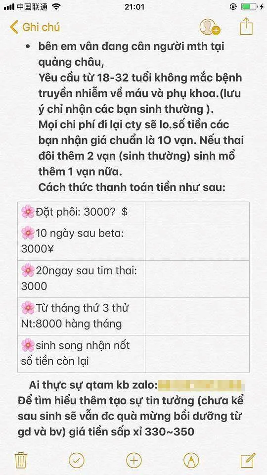  Chuyện chưa kể về băng nhóm tổ chức mang thai hộ xuyên quốc gia ảnh 2