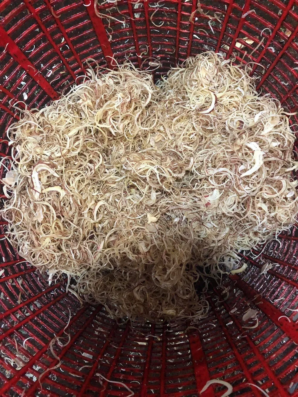 Phát hiện 2,5 tấn ngó sen, bắp chuối ngâm hóa chất tẩy trắng ảnh 1