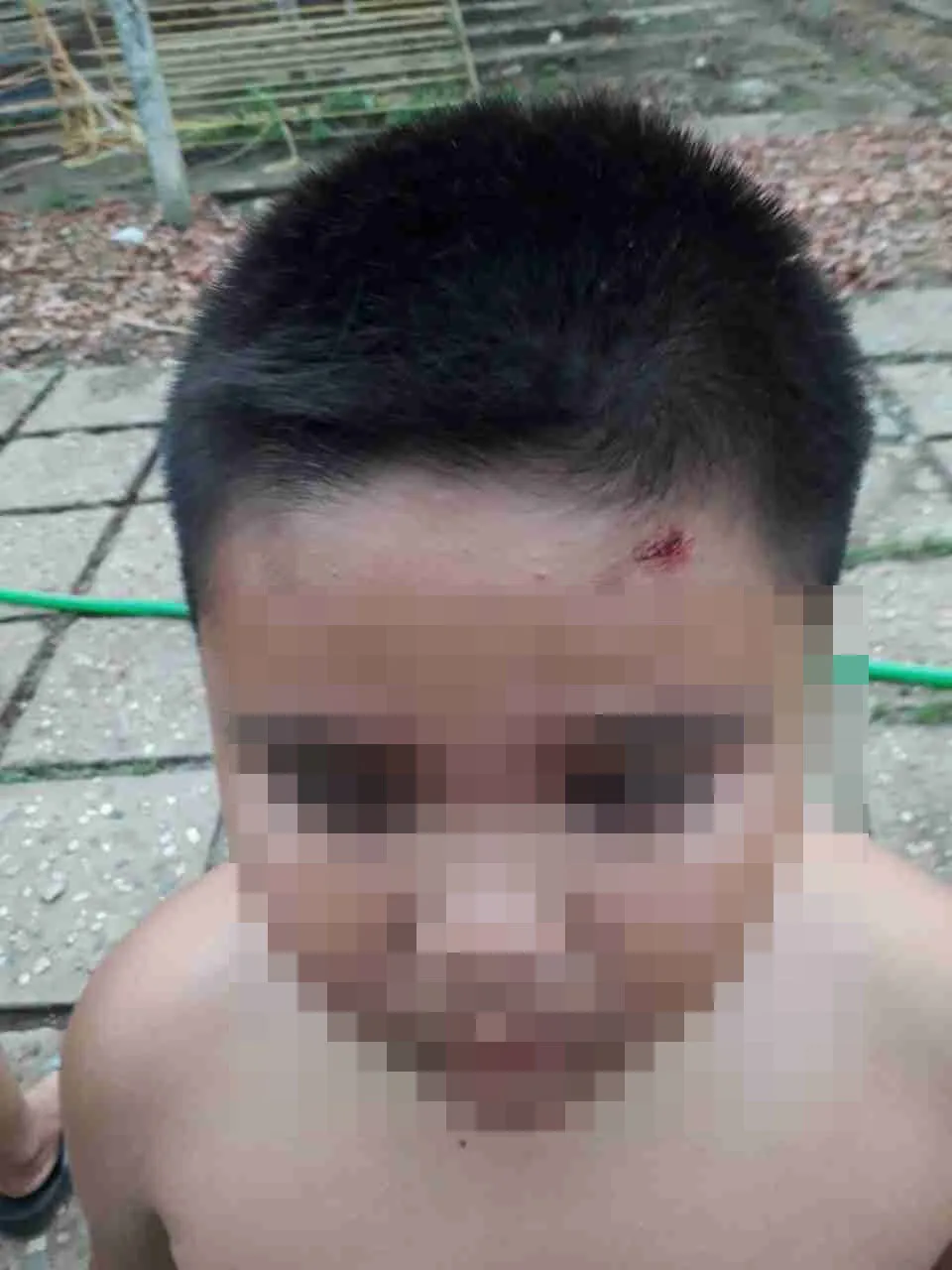 Cả gia đình bị nhóm “giang hồ” dùng súng, hung khí đe dọa ảnh 6