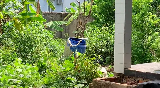  Thực nghiệm hiện trường vụ 2 thi thể trong thùng phuy ảnh 4