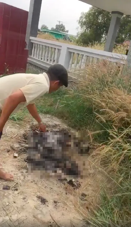 Bộ xương bị đốt trong nghĩa địa ở Củ Chi là xương người ảnh 1