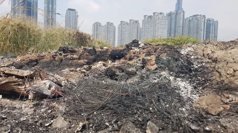 Nhận dạng nghi can giết người cướp tài sản đốt xe phi tang ở TPHCM ảnh 2