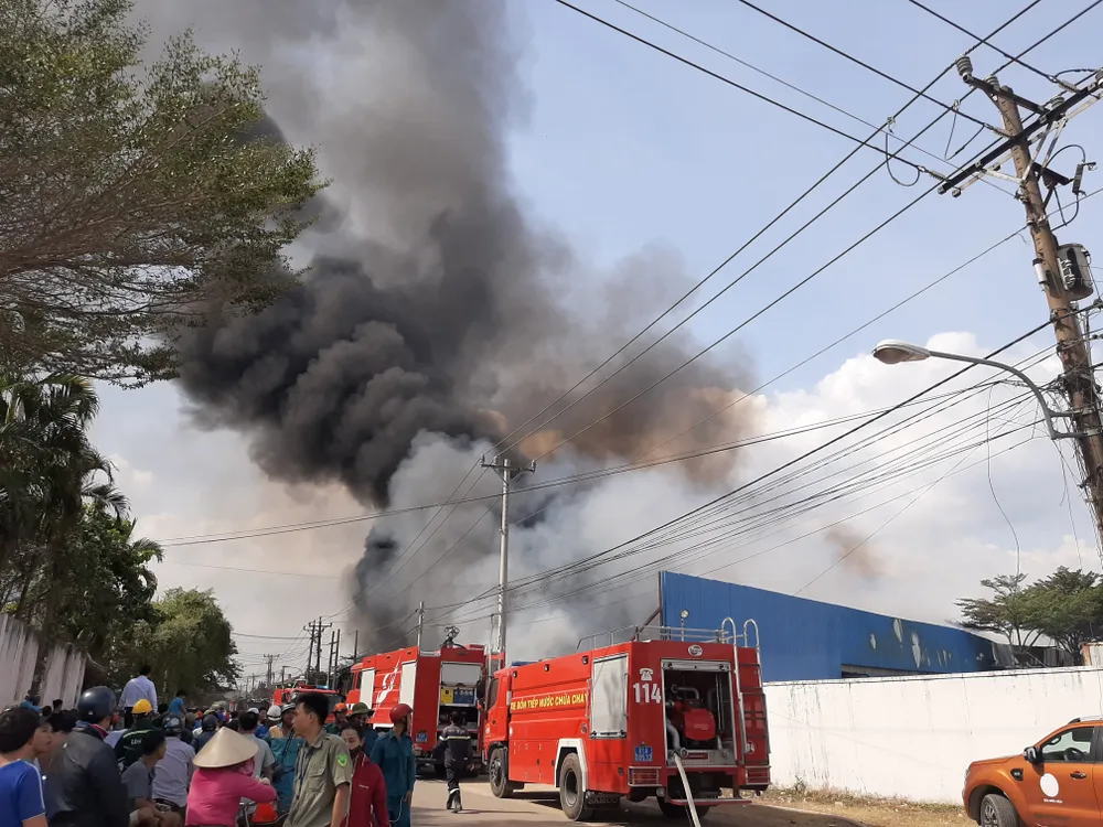 Cháy lớn ở Công ty gỗ Lâm Dương - Tân Uyên, Bình Dương ảnh 2