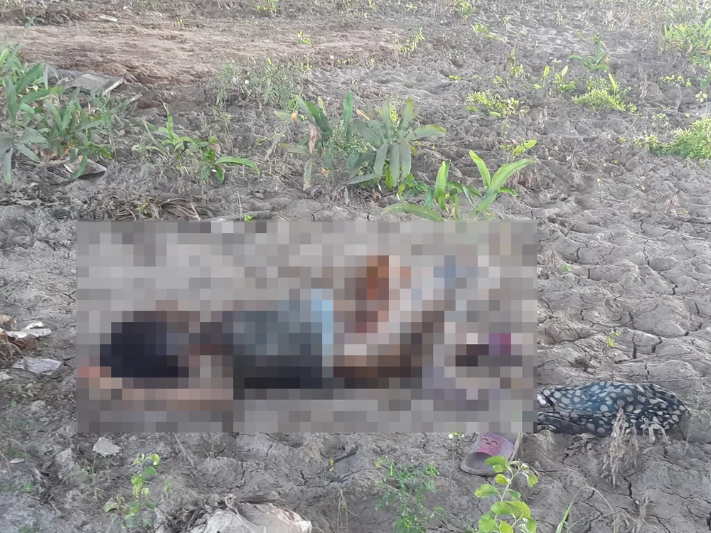  Phát hiện thi thể người phụ nữ lõa thể dưới gầm cầu cao tốc TPHCM – Long Thành – Dầu Giây ảnh 1