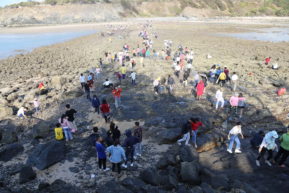 Con đường đá xẻ biển nối bờ với Hòn Bà ảnh 13