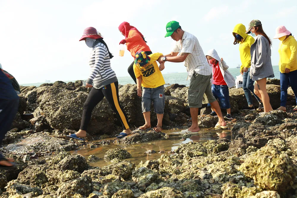 Con đường đá xẻ biển nối bờ với Hòn Bà ảnh 7