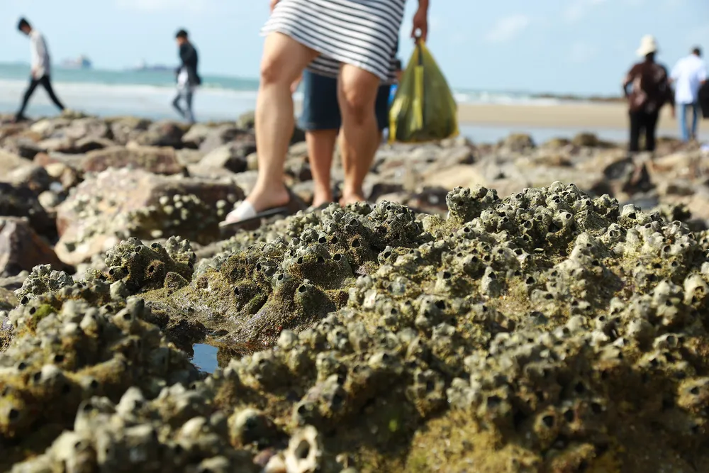 Con đường đá xẻ biển nối bờ với Hòn Bà ảnh 6