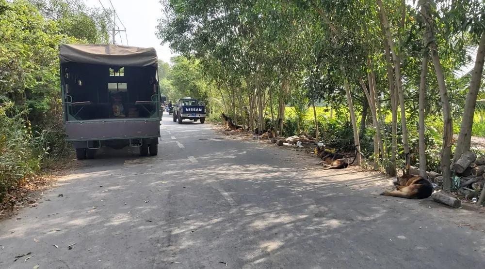 Công an TPHCM, Bình Dương, Tây Ninh phối hợp truy bắt nghi phạm bắn chết 5 người ở Củ Chi ảnh 1