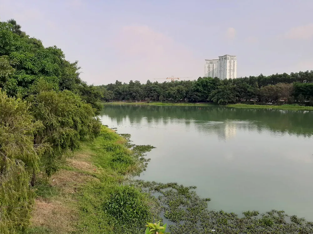 Khu vực xảy ra vụ việc. Ảnh: X.A