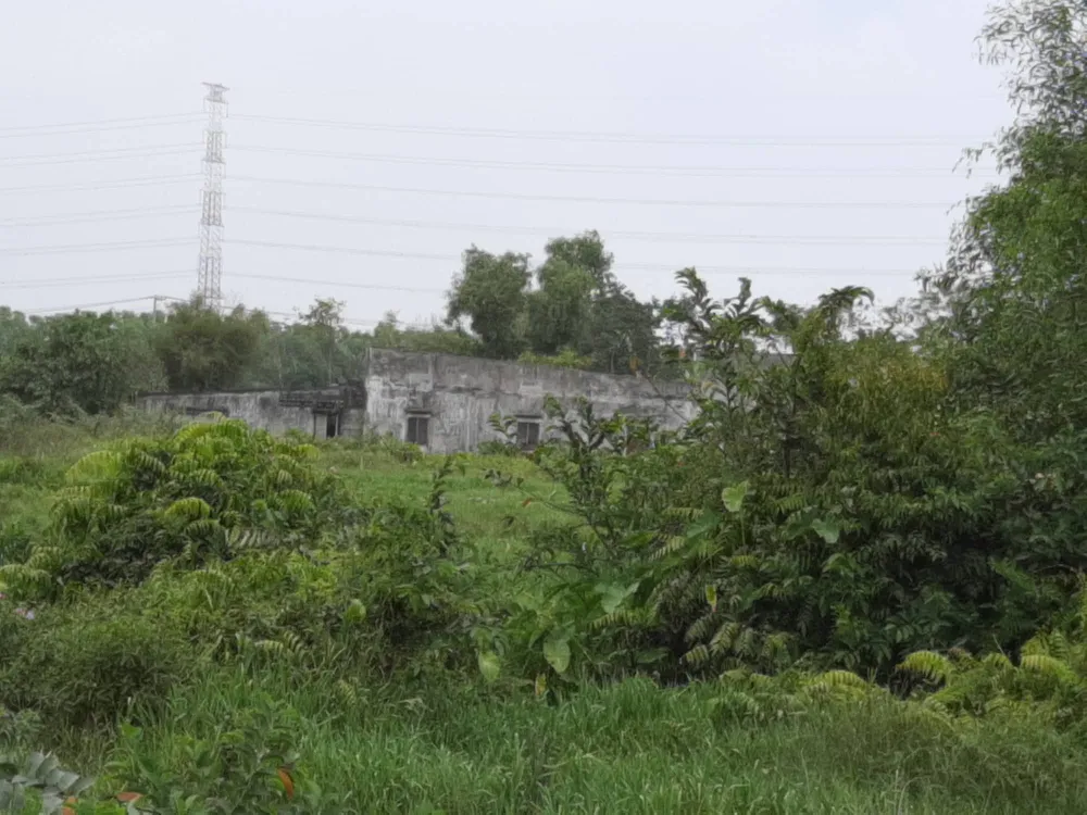 Công an TPHCM ra quyết định đình nã với Tuấn “khỉ” ảnh 3