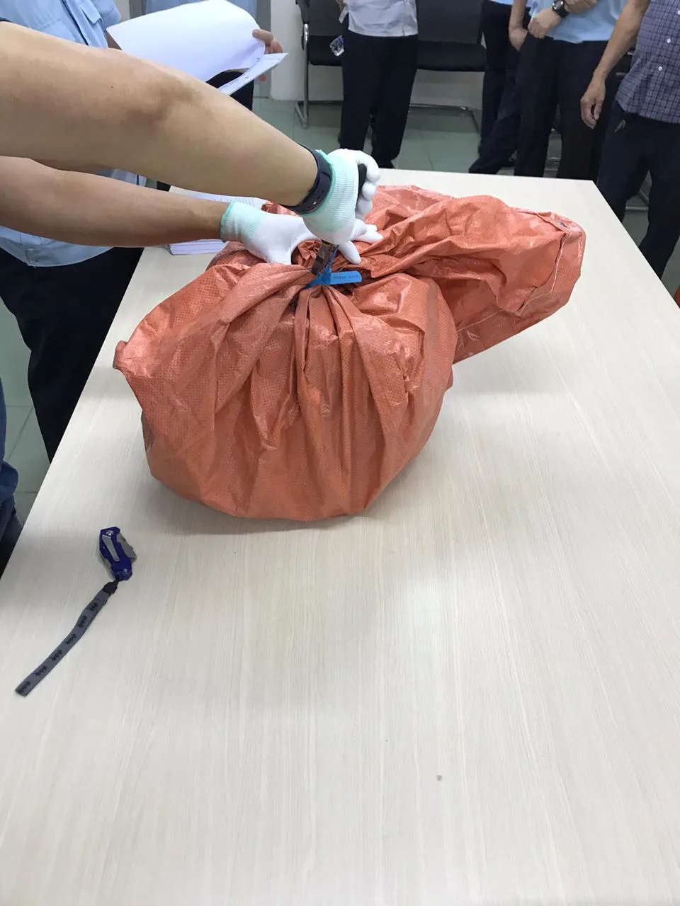 Hơn 18 kg thuốc lắc và cần sa được vận chuyển qua đường bưu điện từ châu Âu về Việt Nam ảnh 1