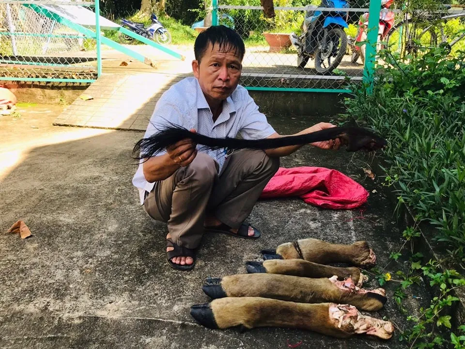 Cá thể bò tót nặng 200 kg bị lâm tặc xẻ thịt ảnh 1