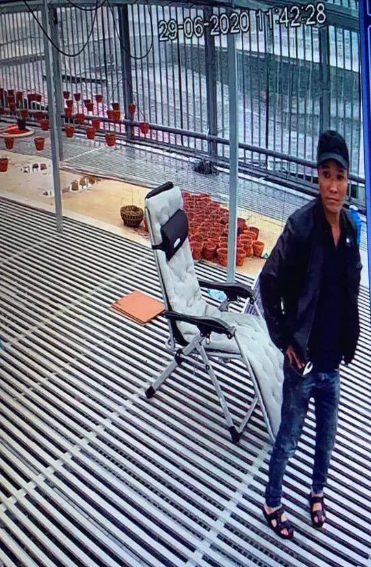 Bắt đối tượng trộm 2 cây lan đột biến gen trị giá 750 triệu đồng ảnh 1