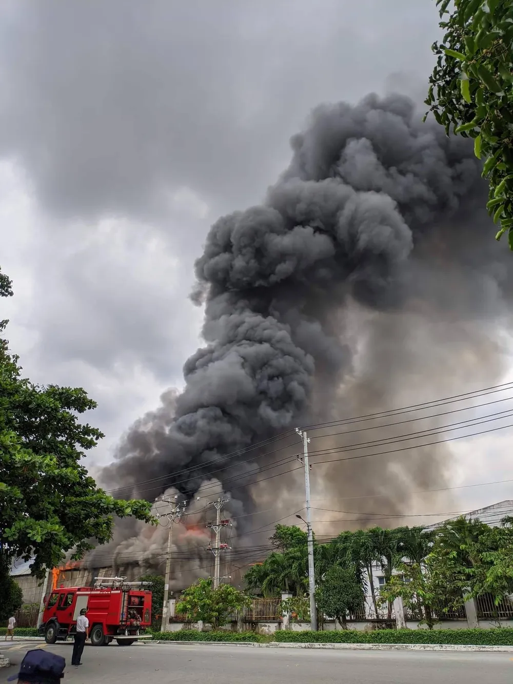 Cháy xưởng gỗ trong Khu công nghiệp Bình Chiểu, quận Thủ Đức ảnh 1