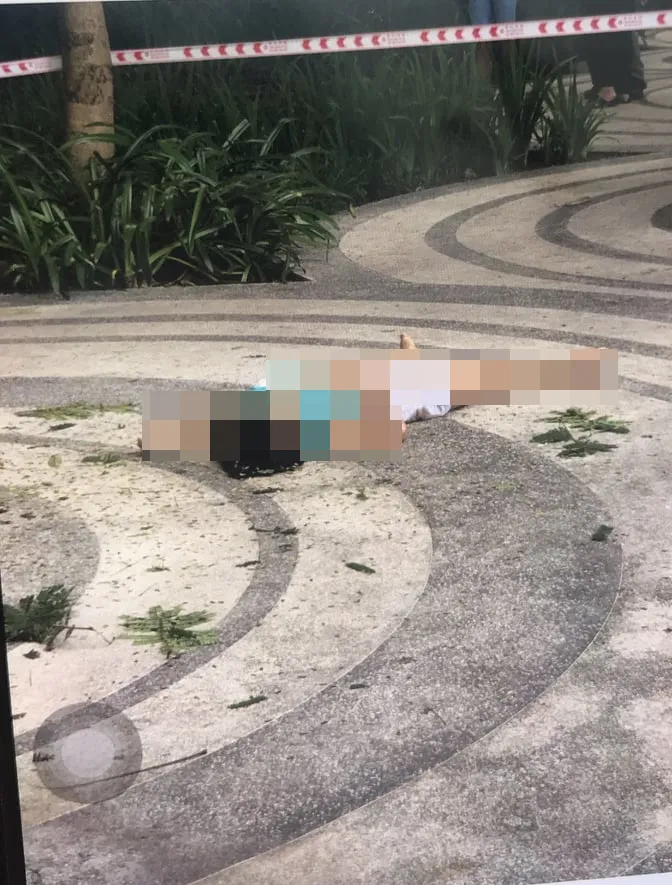 Điều tra vụ nữ luật sư rơi tầng cao tử vong ở chung cư Sunview Town, quận Thủ Đức ảnh 2