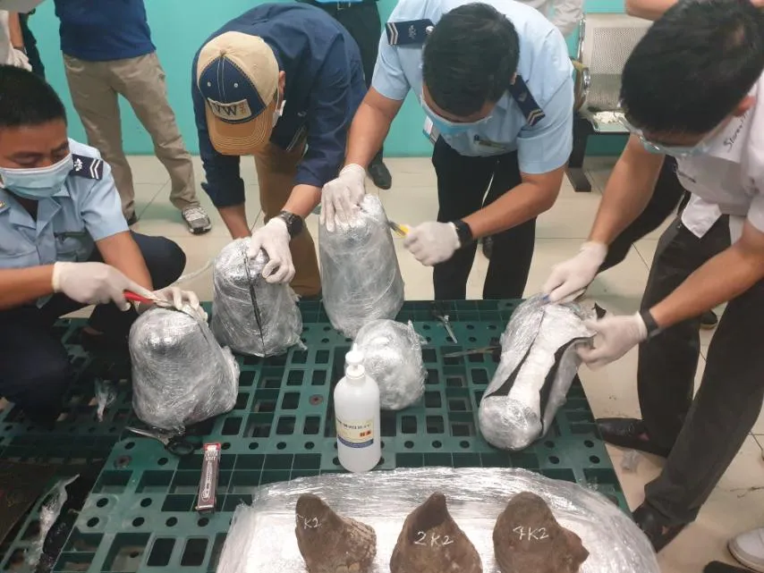 Thông tin mới nhất vụ gần 100kg nghi sừng tê giác tại kho hàng khu vực sân bay Tân Sơn Nhất ảnh 2