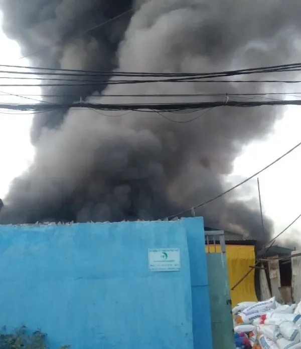 Cháy lớn tại 2 xưởng nhựa ở huyện Bình Chánh, khói đen bốc cao hàng chục mét ảnh 1