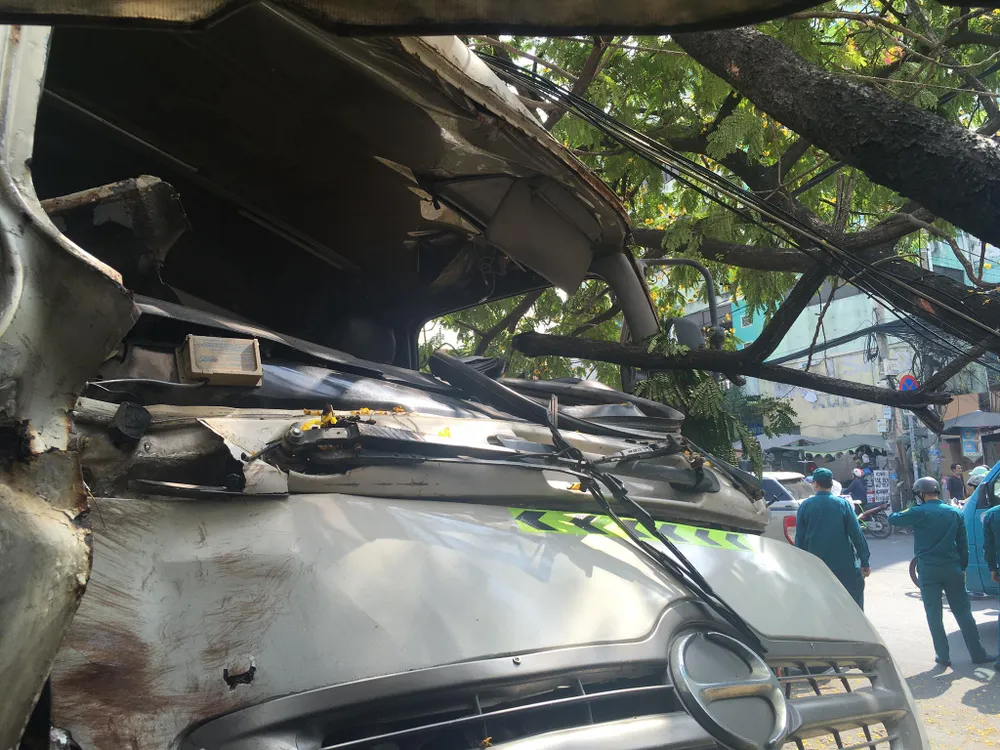  Xe chở rác đổ dốc cầu đâm gãy gốc cây, nhiều người hoảng sợ ảnh 1