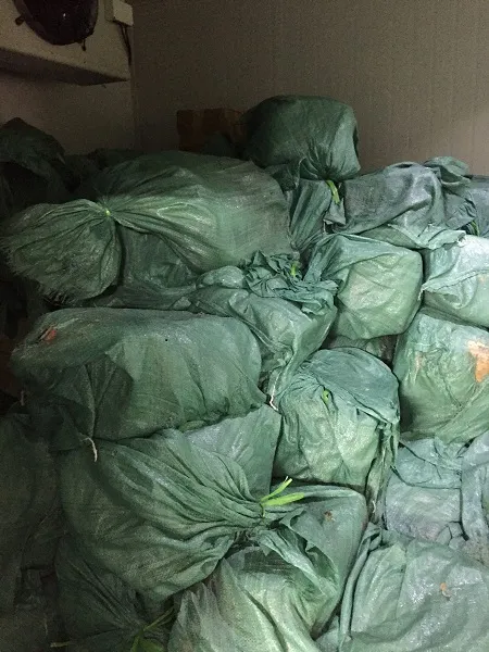 Phát hiện gần 6 tấn thịt gia súc, gia cầm, thuỷ sản... không rõ nguồn gốc ảnh 1