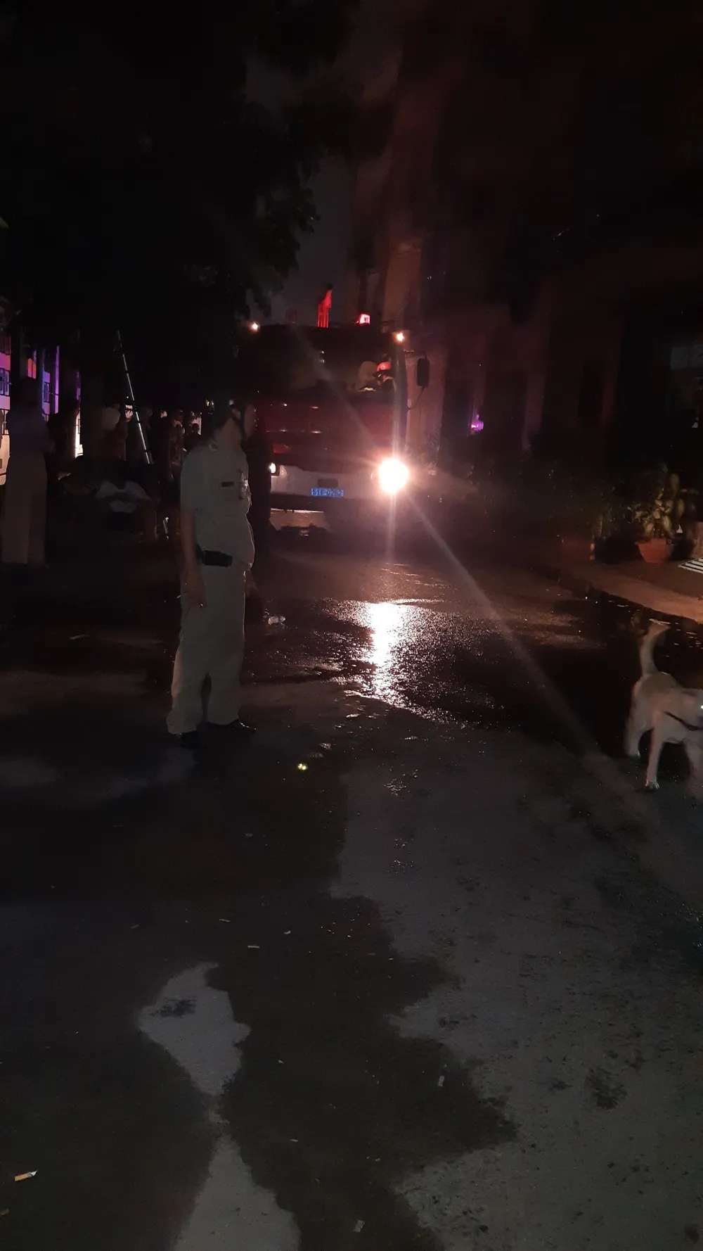 Giải cứu 5 người mắc kẹt trong đám cháy ở quận 8 ảnh 1