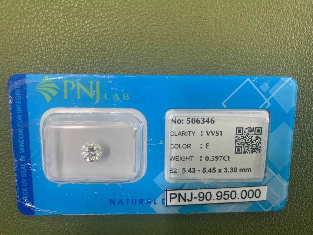  “Nữ quái” mang 5 tiền án, tiền sự trộm viên kim cương gần 100 triệu đồng ảnh 2