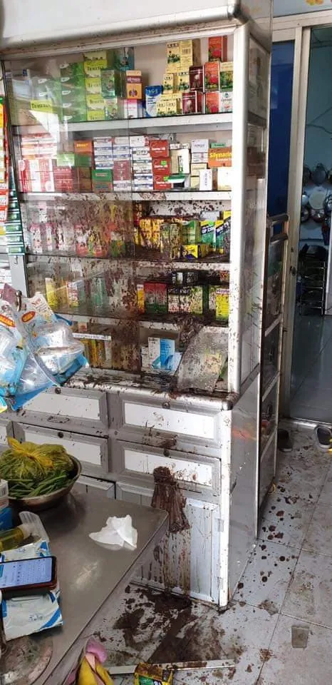 Khởi tố 2 vợ chồng thuê “giang hồ” tạt chất bẩn, mắm tôm vào tiệm thuốc tây ở quận 8 ảnh 2