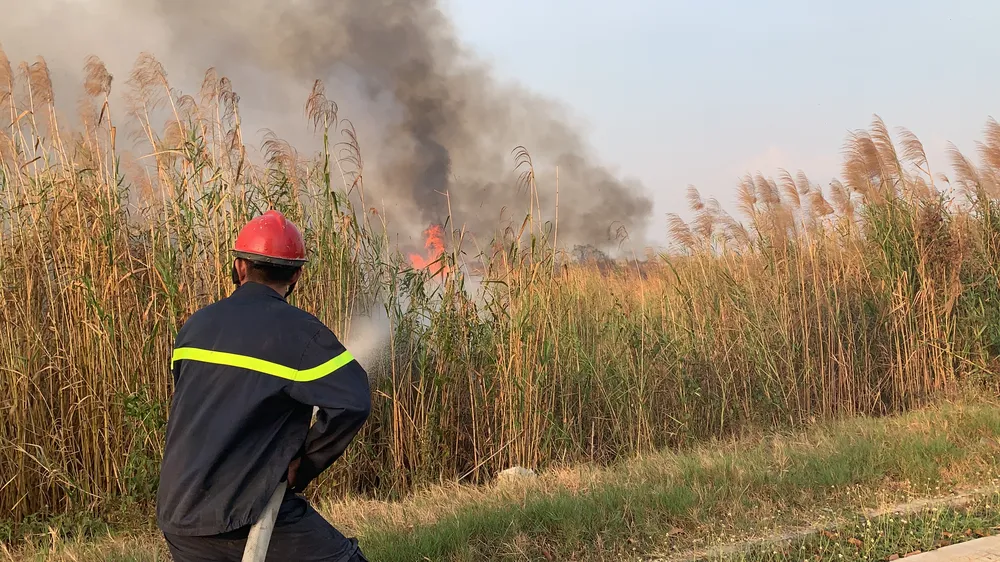 Cháy lớn ở bãi cỏ rộng hàng chục hecta trong khu công nghệ cao ảnh 4