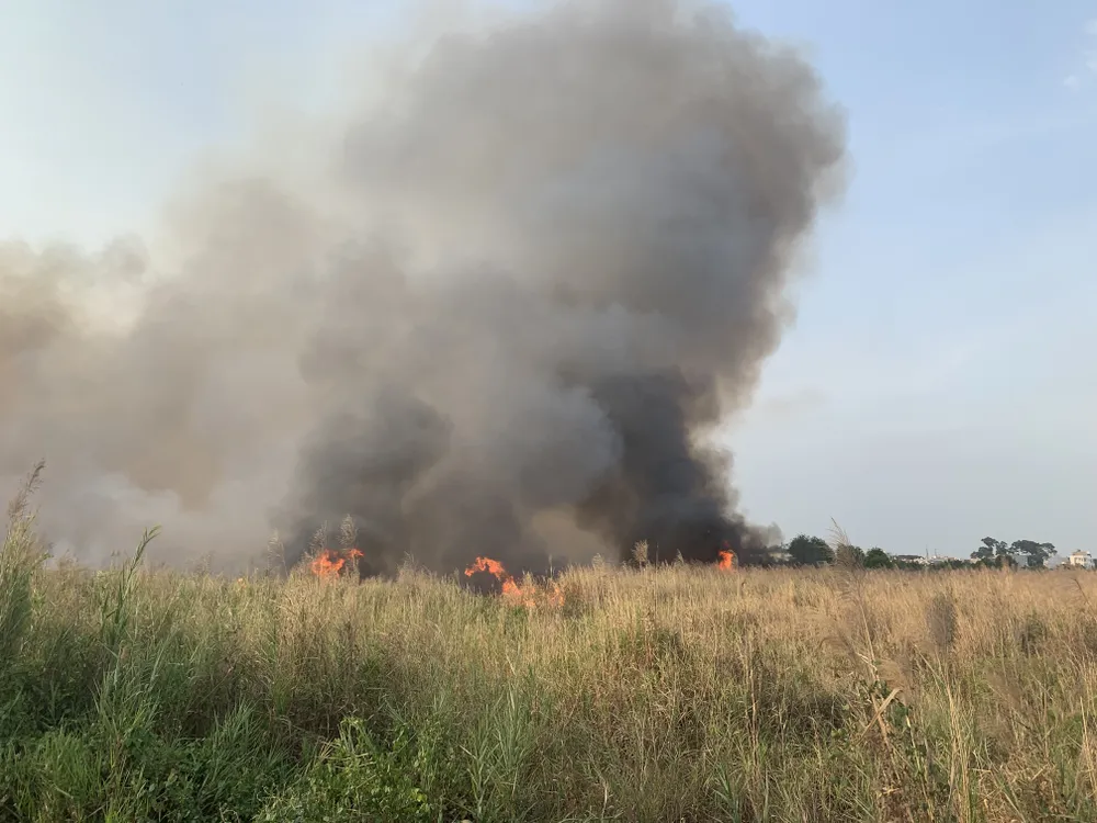 Cháy lớn ở bãi cỏ rộng hàng chục hecta trong khu công nghệ cao ảnh 3