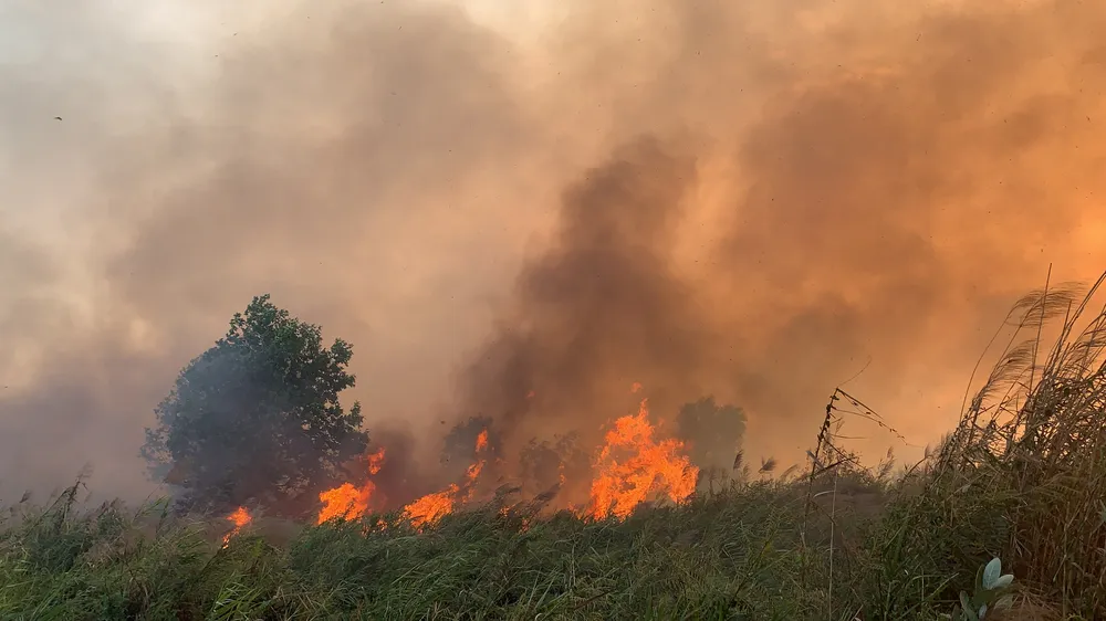 PCCC TPHCM nhận được 13 tin báo cháy cỏ trong 1 ngày. Ảnh: CHÍ THẠCH