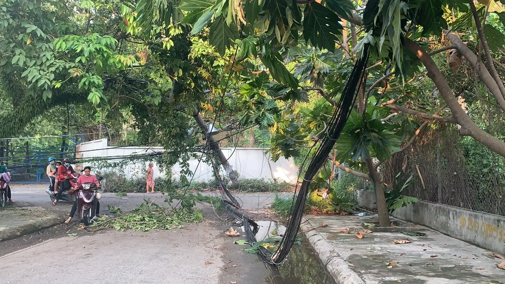 Sau tiếng nổ lớn, trụ điện ngã đổ, hàng trăm hộ dân ở Thủ Đức mất điện ảnh 5