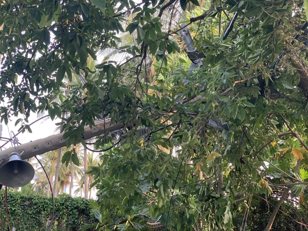 Sau tiếng nổ lớn, trụ điện ngã đổ, hàng trăm hộ dân ở Thủ Đức mất điện ảnh 4