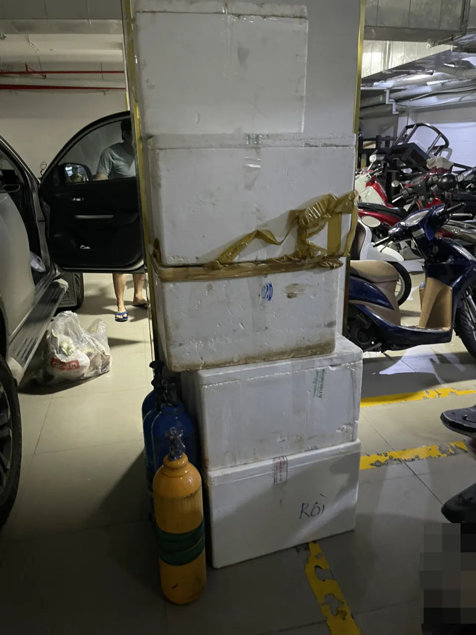 Bắt nhóm đối tượng làm giả giấy tờ đi đường, thu súng, đạn, ma túy ảnh 2