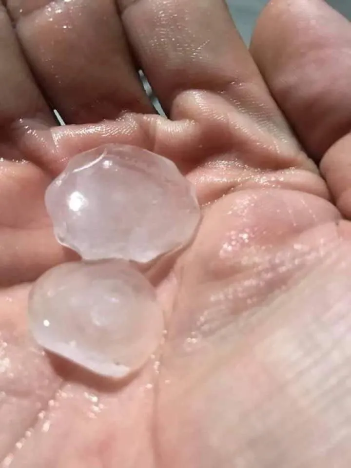 Xuất hiện mưa lớn kèm hạt đá ở TPHCM   ảnh 3