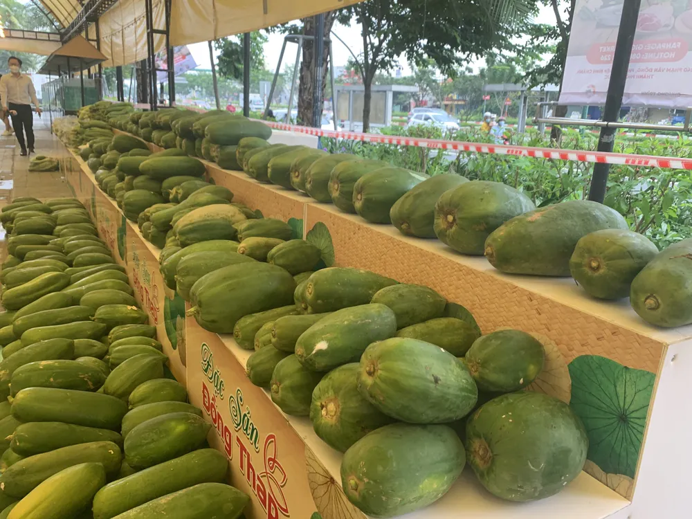 Mở khu bán thực phẩm, nhu yếu phẩm phục vụ người dân ở TPHCM tại Giga Market ảnh 2