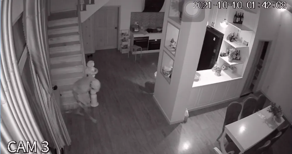 Kẻ gian dùng khẩu trang che camera, đột nhập nhà dân trộm nhiều tài sản ảnh 2