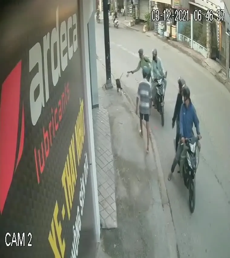 Băng trộm bắt 1.200 con chó ở TPHCM sa lưới như thế nào? ảnh 3