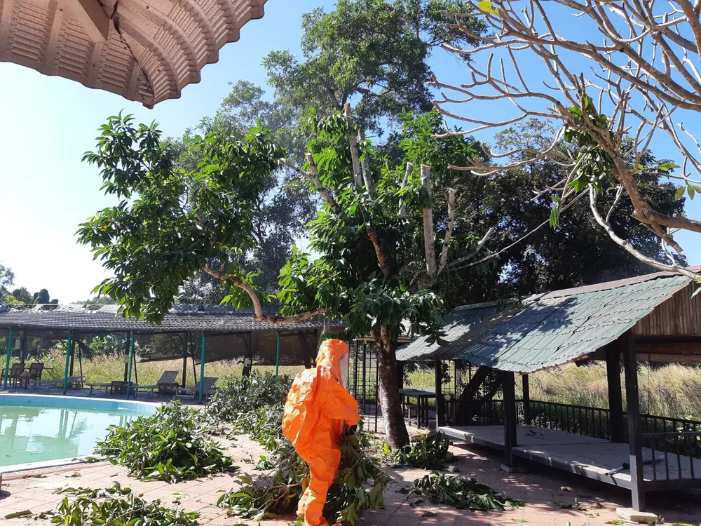 Cận cảnh cảnh sát PCCC xử lý hơn 10 tổ ong vò vẽ gần nhà dân ở Thủ Đức ảnh 4