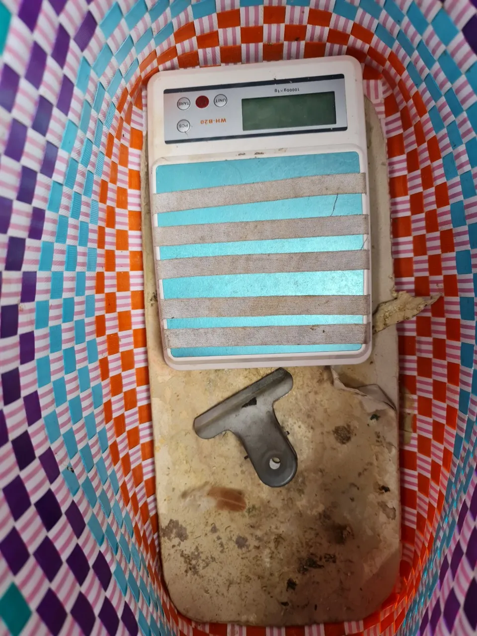 Công an TPHCM triệt phá trường gà trong ngày đầu cao điểm trấn áp tội phạm ảnh 3