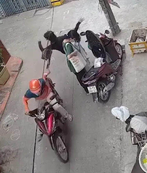 Truy xét camera, bắt được tên cướp kéo người phụ nữ ngã lộn nhào tại Tân Bình ảnh 1