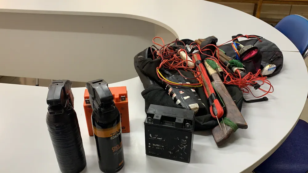 Băng trộm bắt 1.200 con chó ở TPHCM sa lưới như thế nào? ảnh 2