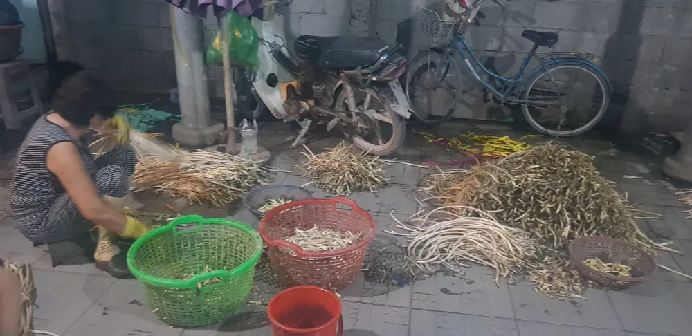 Phát hiện cơ sở ở TPHCM dùng hóa chất không rõ nguồn gốc chế biến ngó sen ảnh 1