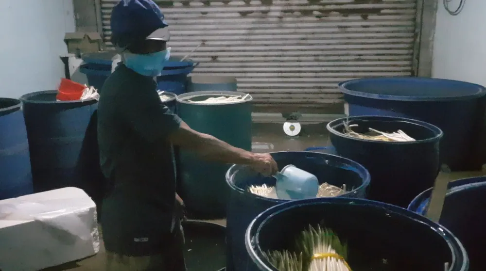 Phát hiện cơ sở ở TPHCM dùng hóa chất không rõ nguồn gốc chế biến ngó sen ảnh 3