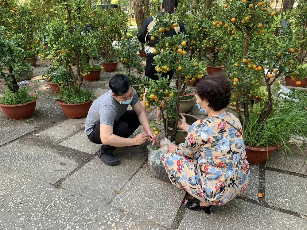 Đổ xô mua hoa ngày 29 tết  ảnh 6