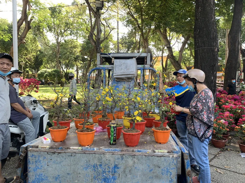 Đổ xô mua hoa ngày 29 tết  ảnh 1