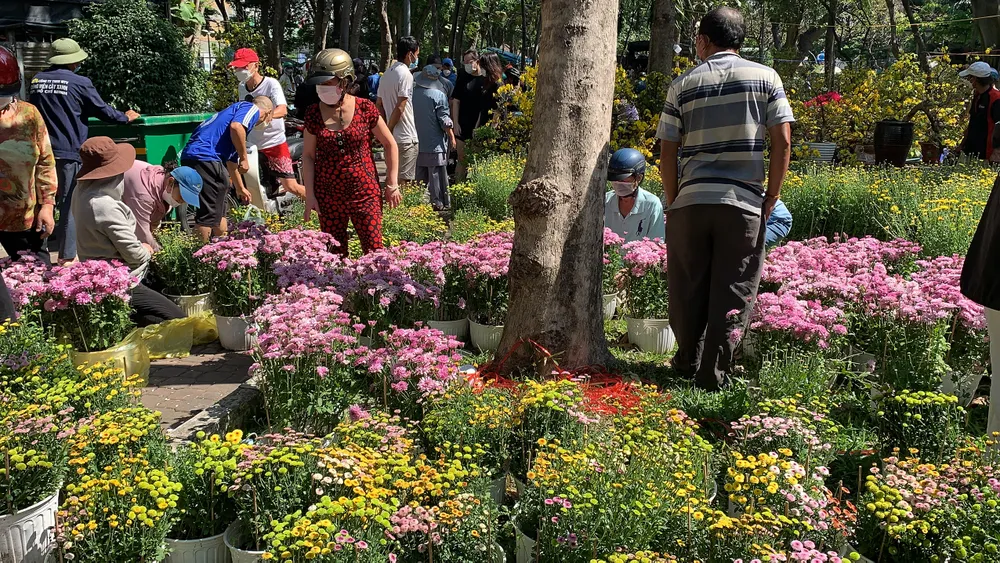 Đổ xô mua hoa ngày 29 tết  ảnh 2