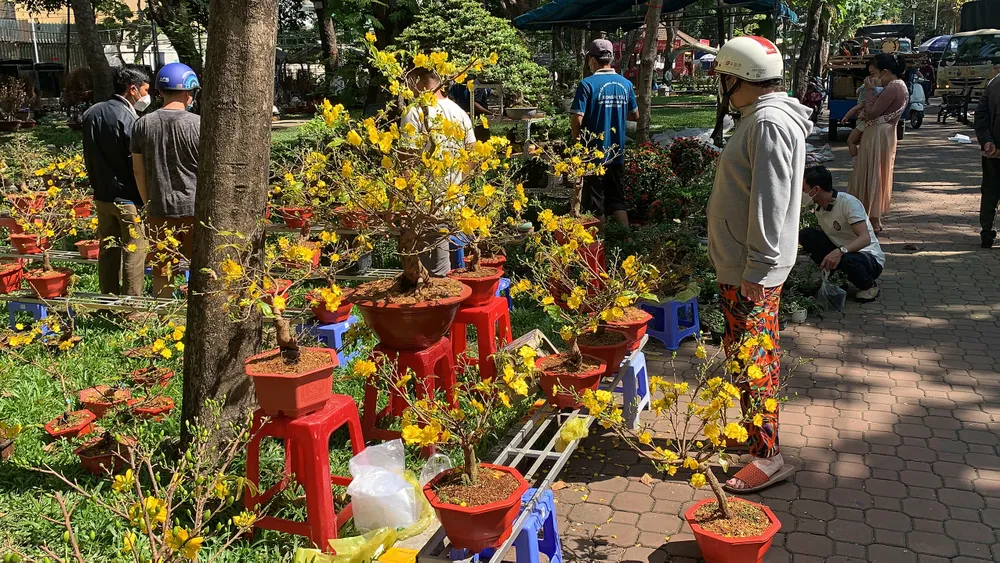 Đổ xô mua hoa ngày 29 tết  ảnh 8