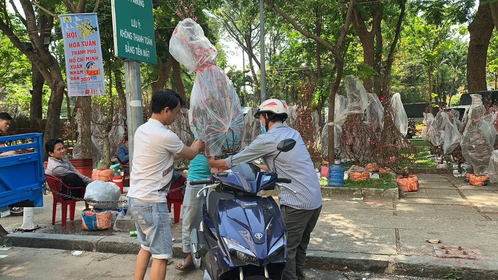 Đổ xô mua hoa ngày 29 tết  ảnh 5