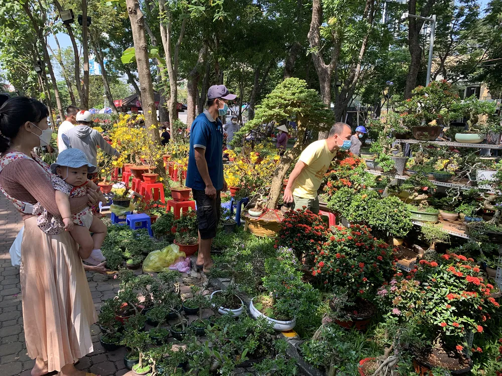 Đổ xô mua hoa ngày 29 tết  ảnh 4