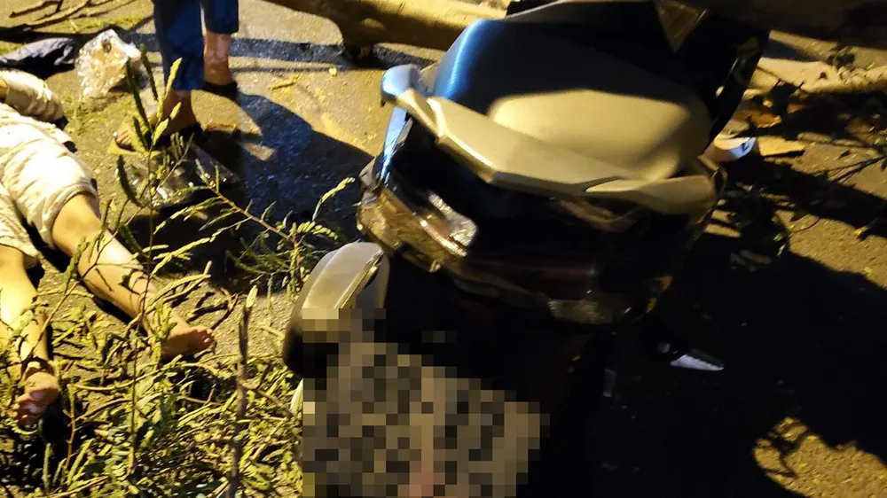 Cây xanh bật gốc đè 2 mẹ con ở TP Thủ Đức ảnh 1